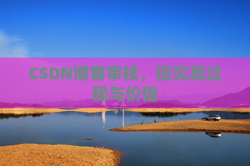 CSDN博客审核,探究其过程与价值